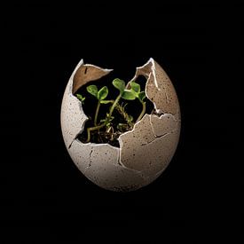 Groene blaadjes in een ei van TheXclusive Art