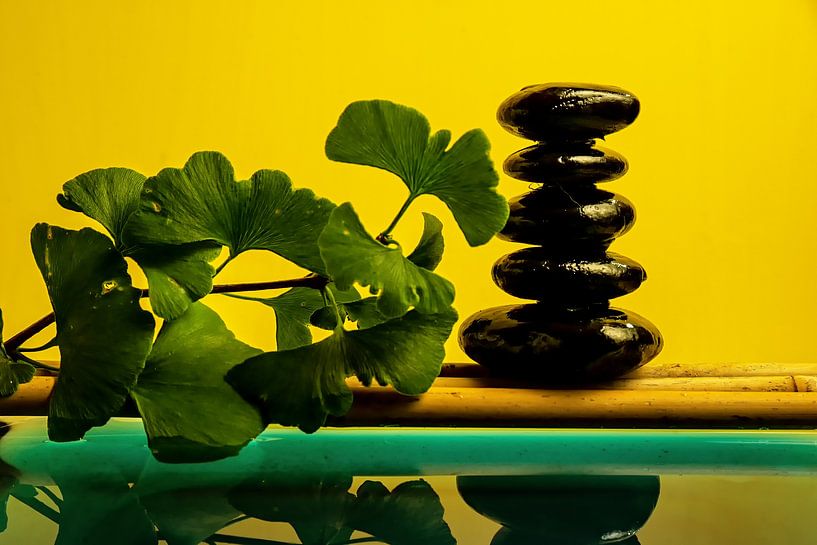 Gingko en bamboe van Thomas Riess