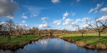 Mooie wolkenluchten boven de fruitboomgaard in Landgoed Bredius, Woerden