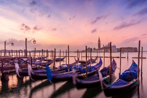 VENICE Gondolas during Golden Hour by Melanie Viola