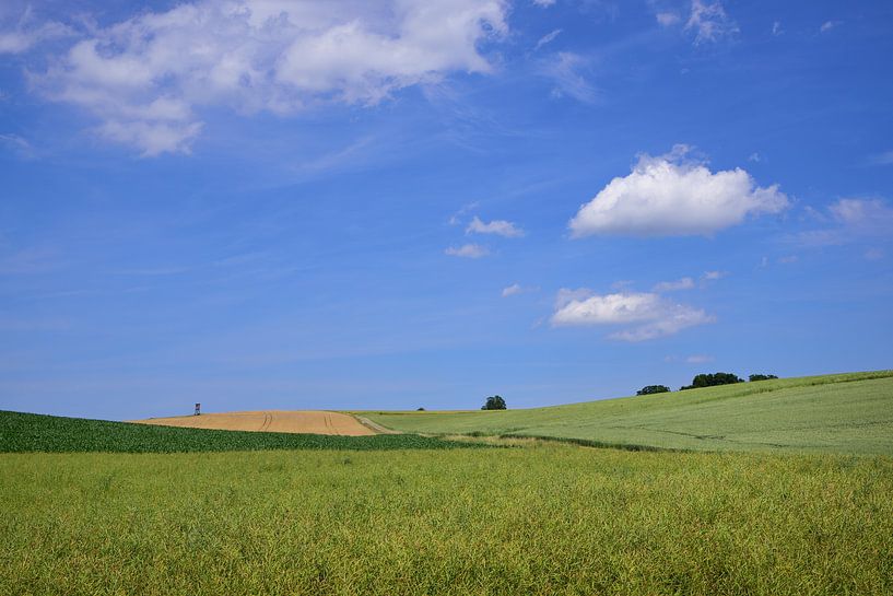 Landscape with green hills in Bavaria by Ulrike Leone
