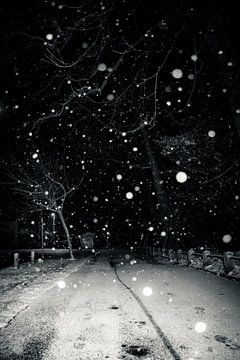 english snow by Dorit Fuhg