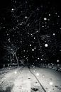 english snow von Dorit Fuhg Miniaturansicht