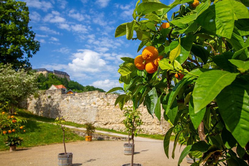 Orange Square by Holger Felix