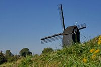 Daar bij die Molen