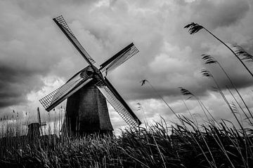 Dramatische Windmühlen in den Niederlanden Schwarz-weiß-Edition von Emel Malms