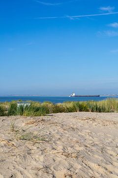 Rustig uitzicht op de zee met schip van Nicolette Suijkerbuijk