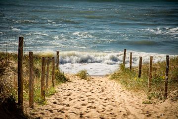 Aller à la plage sur Frans Scherpenisse