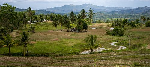 Le rythme de l'arrière-pays (Bohol, Philippines)