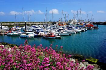 Kilmore Quay Harbour in Südirland