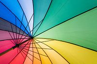 Fur colored umbrella parasol in summer with backlight