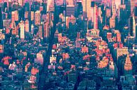 Metropolis Marvel Ia van Caroline Boogaard thumbnail