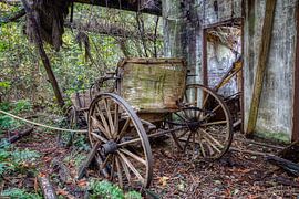 coach by michel nolsen