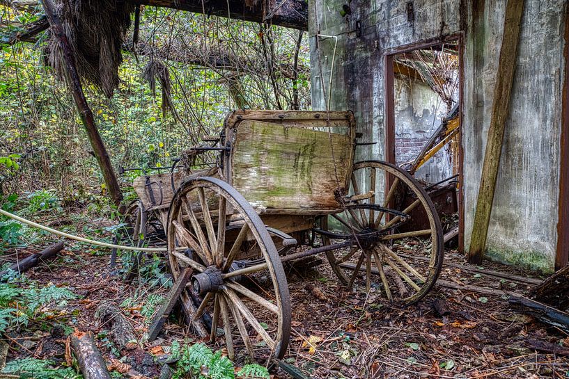 carrosse par michel nolsen