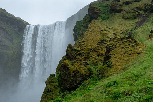 Skogafoss Wasserfall mit grün, braun bewachsenen Felsen im Vordergrund