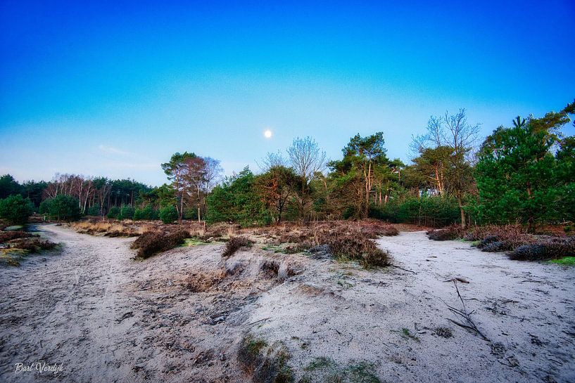 Moon just before sunrise in the Brabant forest by Bart Verdijk