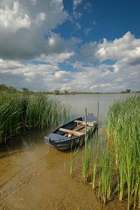 Roeibootje tussen het riet van Moetwil en van Dijk - Fotografie