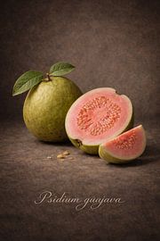 Guava .Psidium guajava by Bert Quaedvlieg