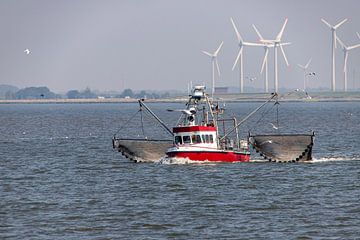 Fischerboot auf der Eider von Alexander Wolff