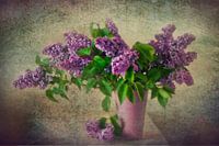 Still life Lilacs