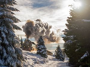 Die Brockenbahn auf dem Weg zum Brocken