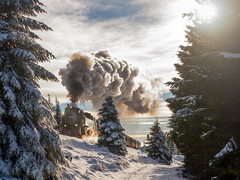 The Brocken railway on the way to the Brocken by t.ART