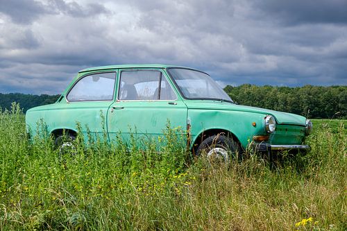 Green Daf passenger car in a summer meadow