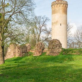 Alter Turm von Johann Pavelka