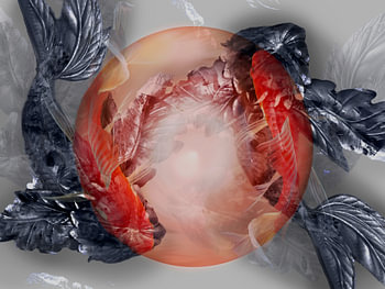 Van de collectie 'Symbolic' Koi and the rising Sun