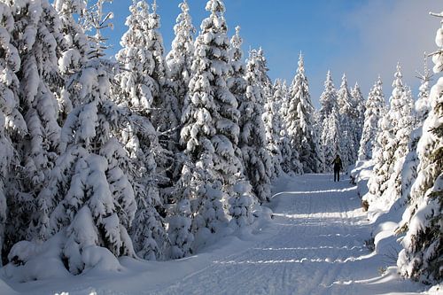 Winterlandschaft im Harz