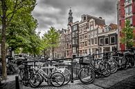 Bloemgracht Amsterdam van Melanie Viola thumbnail