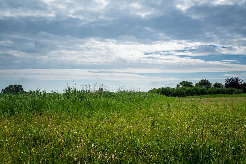 Weiland met bewolkte lucht van Jaap Mulder