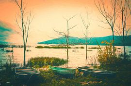 Le monde inverse du bateau et de l'arbre.