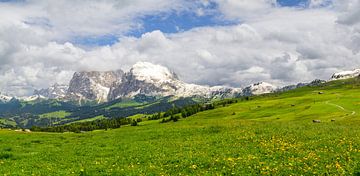 Alpe di Siusi panorama in de Dolomieten tijdens de lente