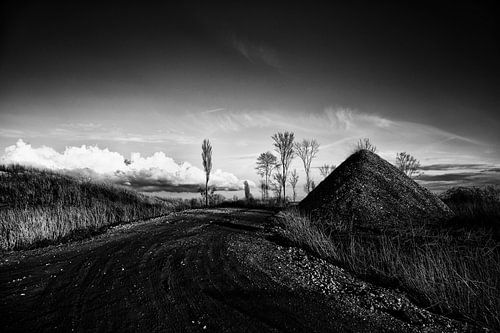 Landscape V