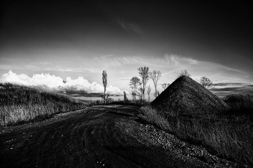 Landscape V van Rene Kuipers