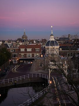 Leading from above, Morse Gate by Sander van Driel