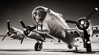 bomber