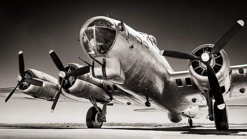 bomber by Frank Peters