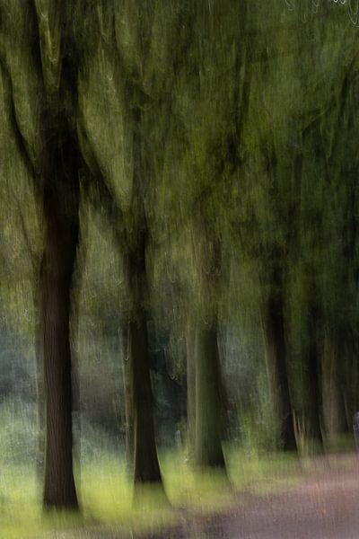 ICM van Marieke Deinum