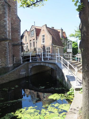 Delft op z`n mooist, gracht met oude huizen