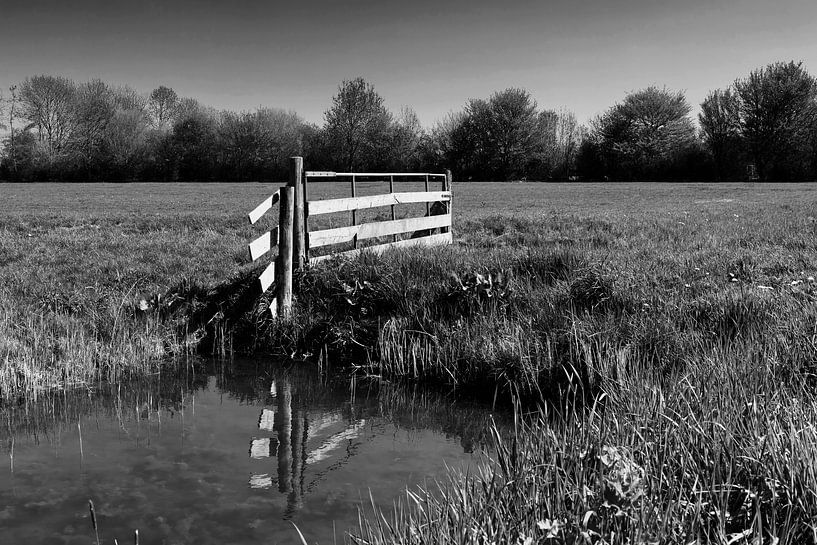 Zaun auf der Wiese von Frank Herrmann