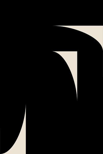 Abstracte vormen in zwart-wit III