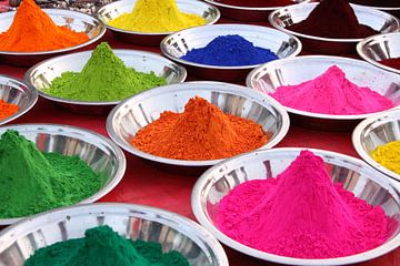 Colors of India van Chris Moll