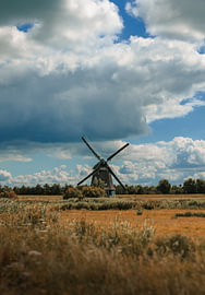Mühle in der Polderlandschaft von Jesse Simonis
