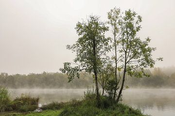 Oeverlandschap Schwackenreuter gezien met laatste restjes mist - Mühlingen van BlattArt - Christine Horn