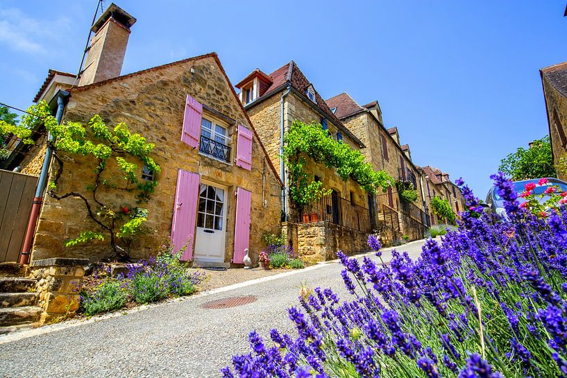 allée française par peterheinspictures