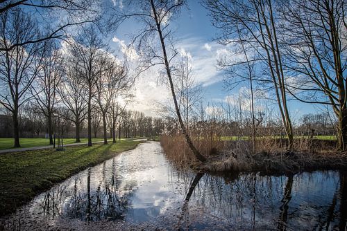 A calm winter day in the Bredius estate, Woerden. by John Verbruggen