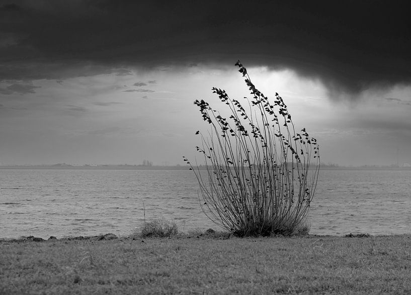 Zeeland in black and white. by Jose Lok