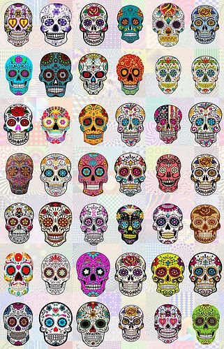 Types of Skulls